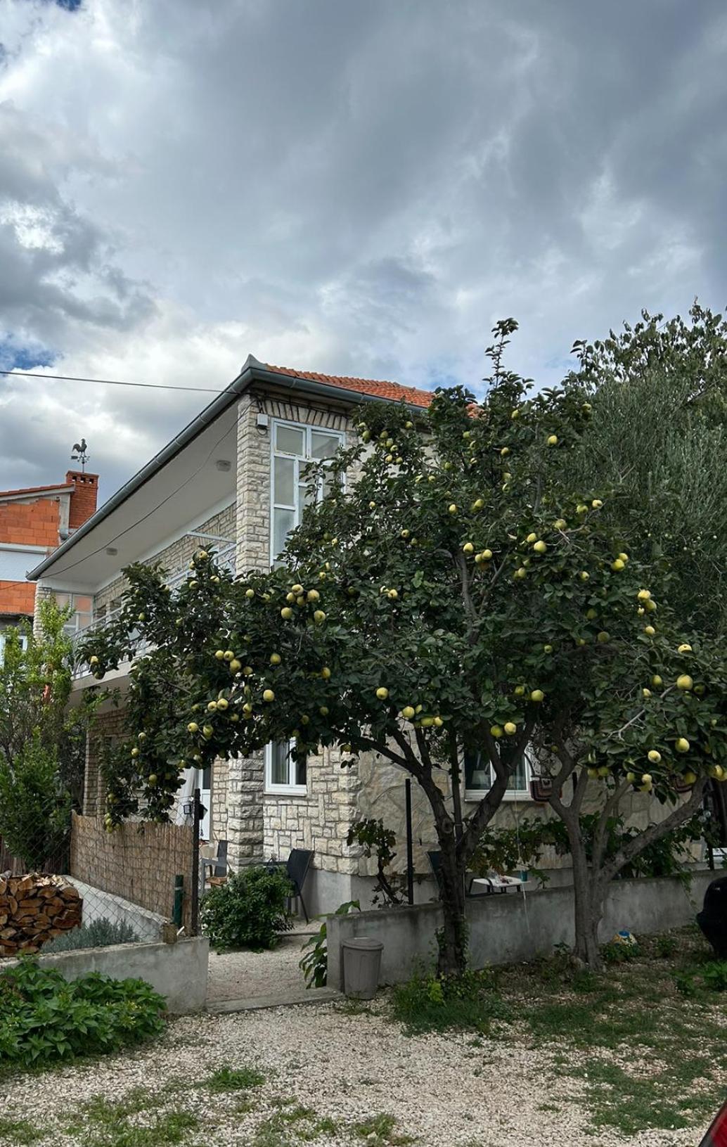 Villa Jadran Zadar Exteriör bild