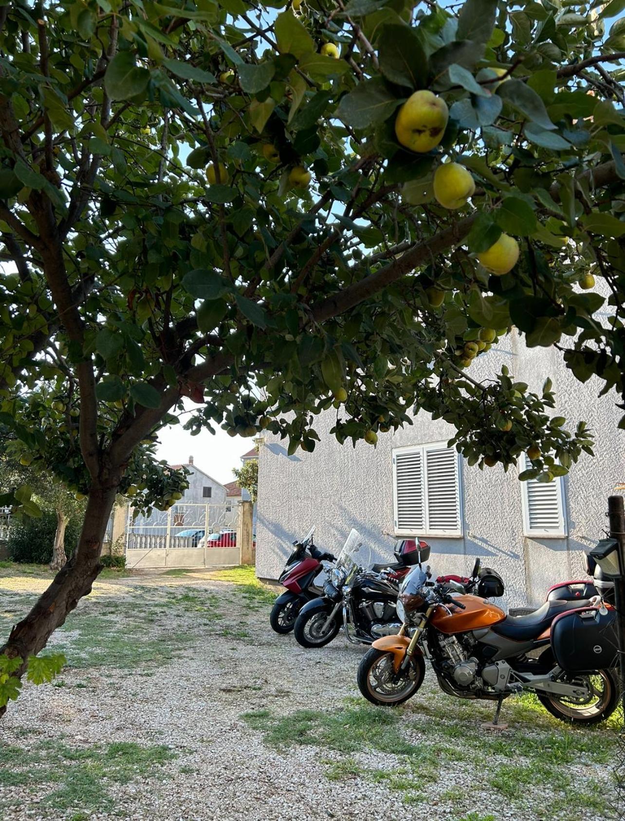 Villa Jadran Zadar Exteriör bild